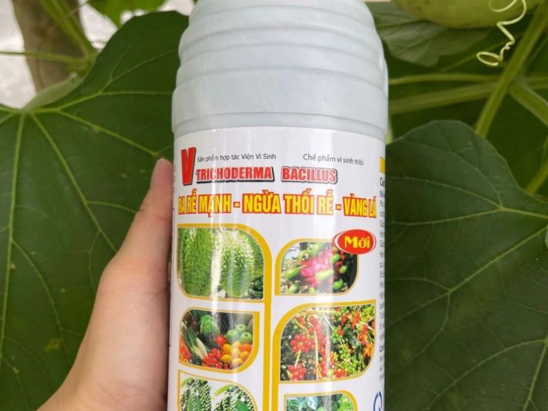 Trichoderma bacillus chai 1 lit ra rễ mạnh ngừa thối rễ vàng lá